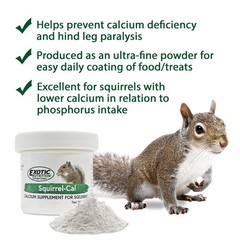 Calcium Powder Supplement for Pet Squirrels – 3.5 oz Ultra-Fine Formula