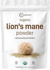 HOTMicro Ingredients Organic Lion’s Mane Mushroom Powder Pure Fruiting Superfood