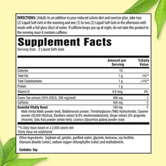 Applied Nutrition Green Tea Weight Loss Supplement, 90 Capsules Free Shipping..