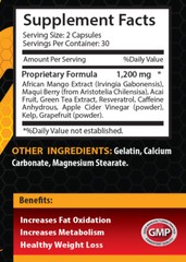 body cleanse – Pure AFRICAN MANGO EXTRACT 1200mg – super antioxidant – 2 Bottles