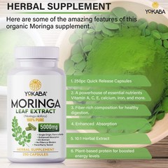 Moringa Oleifera Capsules, 250 Count, 5000mg | Immune Support