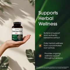 NatureBell Berberine 500mg – 300 Capsules – 97% Pure 300 Count (Pack of 1)