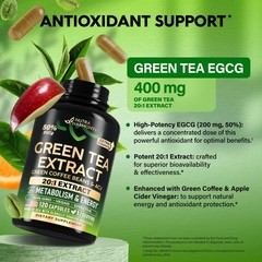 Green Tea Extract – 50% EGCG, Extra Strength 20:1 120 Count (Pack of 1)
