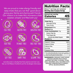 YumEarth Organic Assorted Flavors Vitamin C Lollipops 3.1 oz.