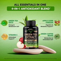Green Tea Extract – 50% EGCG, Extra Strength 20:1 120 Count (Pack of 1)