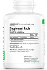 KYOLIC ODORLESS ORGANIC AGED GARLIC EXTRACT. 300 CAPSULES. EXP 12/2029