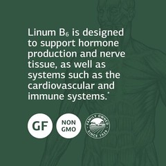 Standard Process Linum B6 Whole Food Hormone Support, 120 Softgels