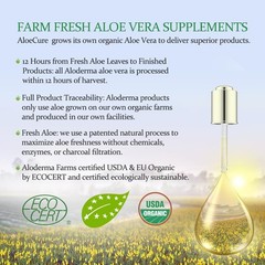 AloeCure USDA Organic Aloe Vera Juice Made 16.7 Fl Oz (Pack of 1), White