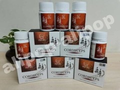 Gano Excel eternity Cordyceps – 60 capsules x 5 bottles