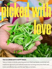 TeeLux Decaf Green Tea Bags, Pure Decaffeinated Green Tea, Super Antioxidant,…