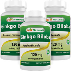 3 Pack Best Naturals Ginkgo Biloba 120 mg 120 Capsules