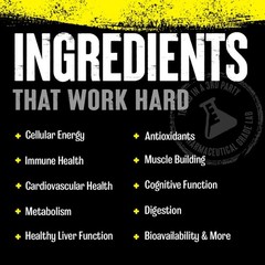 Animal Pak All-in-One Sports Nutrition Multivitamin for Men & Women – Zinc
