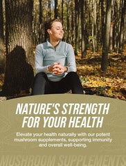 BulkSupplements Organic Lion’s Mane Mushroom Extract 250g – 1000 mg Per Serving