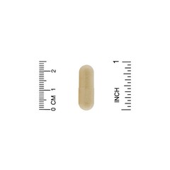 2 X Organic India, Amla, 90 Vegetarian Caps (500 mg per Capsule)