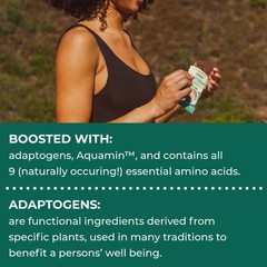 Laird Superfood Functional Protein Bars 1 Count (Pack of 10), Mint Chocolate