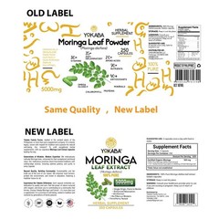 Moringa Oleifera Capsules, 250 Count, 5000mg | Immune Support