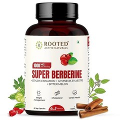Berberine HCL 98% with Ceylon Cinnamon,Gurmar,Bitter Melon – 60 Veg Caps o734
