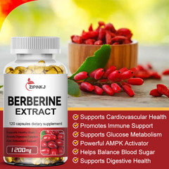 Premium Berberine HCL Extract 120 Caps, Healthy Cholesterol, Anti-Inflammatory