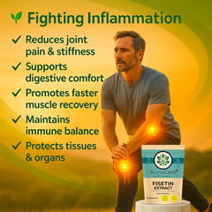 Fisetin Extract 550mg Capsules-(Strawberry Source & 160 μg/g)-100%Vegan-90Caps