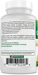2 Pack Best Naturals Ginkgo Biloba 120 mg 120 Capsules