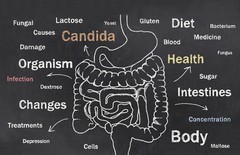 Colon Cleanser Pills – Candida Away Solution 1275mg – 2B