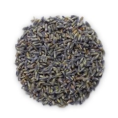 Lavender (Lavanda | Alucema) by Herbs of Mexico
