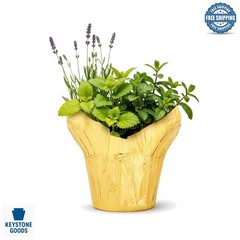 Herb Stress Relief Combo – Lemon Balm, Lavender & Mint – Indoor/Outdoor Live …