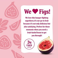 Nature’s Bakery Fig Bar Minis, Raspberry, Whole 1 Count (Pack of 6), Red