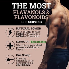 3 PACK! Black Forest High Flavanol Cocoa Powder and Flavonoid Supplements 1200mg