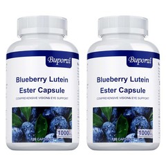 Blueberry Lutein Ester 240pcs – Relieves Eye Fatigue, Retinal and Macula Health