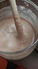 Keto-Friendly Meal Replacement Shake – 11g Fiber, Probiotics, Vanilla Flavor