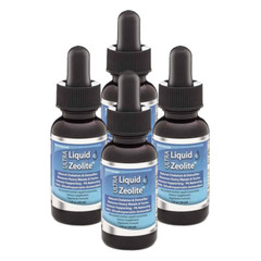 QTY 4 – LIQUID ZEOLITE W/ DHQ m*rcury heavy metal aluminum detox cleanser NEW
