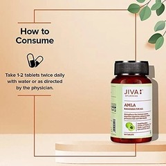 Jiva Amla Tablets 500mg 120×2 | Ayurvedic Vitamin C & Antioxidant Support