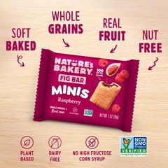 Nature’s Bakery Fig Bar Minis, Raspberry, Whole 1 Count (Pack of 6), Red