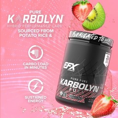 EFX Sports Karbolyn Fuel | FastAbsorbing Carbohydrate Powder | Carb Load, Sus…
