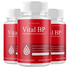 (3 Pack) Vital BP Advanced Blood Support Vitamin Formula VitalBP (60 Capsules)