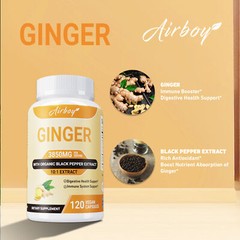 Organic Ginger 3850mg – Nausea Relief,Digestive Health,Health Dietary Supplement