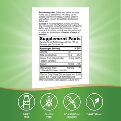 Nature’s Way Chlorofresh, Liquid Chlorophyll, Healthy Skin & Body Detox 16 Fl Oz