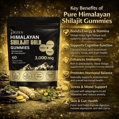 DEZEN Organic Himalayan Shilajit Gummies 3000mg for Energy & Wellness Supplement