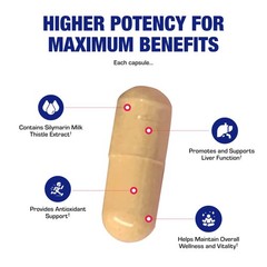 Silymarin Milk Thistle Extract Capsules – Clinical Milk Thistle Liver Supplem…