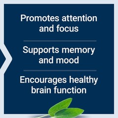 Cognitex Elite Pregnenolone Supplement – Focus, Memory, Attention, Gluten-Free,