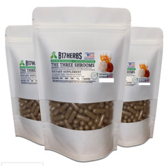 Three Mushroom Blend – Lions Mane, Red Reishi, Cordyceps – 500mg-100 Veggie Caps