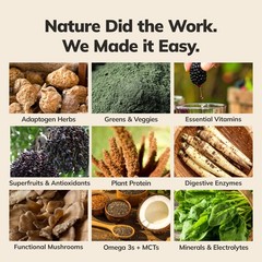 Ka’Chava Whole Body Meal Shake Vanilla – Vegan Protein Powder with 85+ Superf…