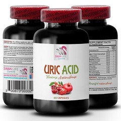 Berry Bliss – URIC ACID COMPLEX – Refreshing Tonic 1 Bottle