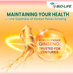 Mega We Care Ginsomin Korean Panax Ginseng Extract Plus 30 capsules Multivitamin