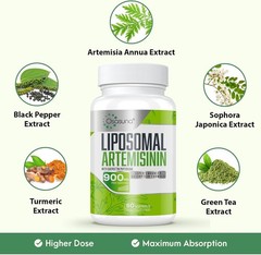 2- Supply: 900 mg Liposomal Artemisinin & 200 mg Quercetin – 60 Softgels