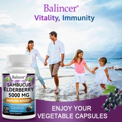 Elderberry 5000mg 120 Capsules For Immune System Health Contains Vitamin C Zinc