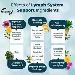 Lymph System Support Supplement with Extract Echinacea Purpurea Dandelion US