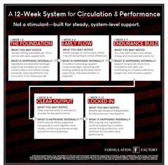 Formulation Factory Heart of Steel Nitric Oxide Supplement – L Citrulline & …