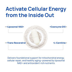Selerb NAD+ Supplement for Men – With Liposomal-NAD+,CoQ10, L-Carnitine, L-Argi
